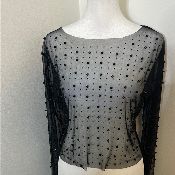 Elegant Black Sheer Top - Picture 2 of 3